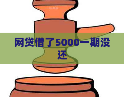 网贷借了5000一期没还