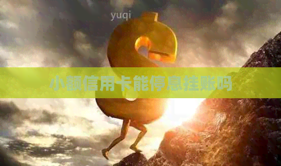 小额信用卡能停息挂账吗