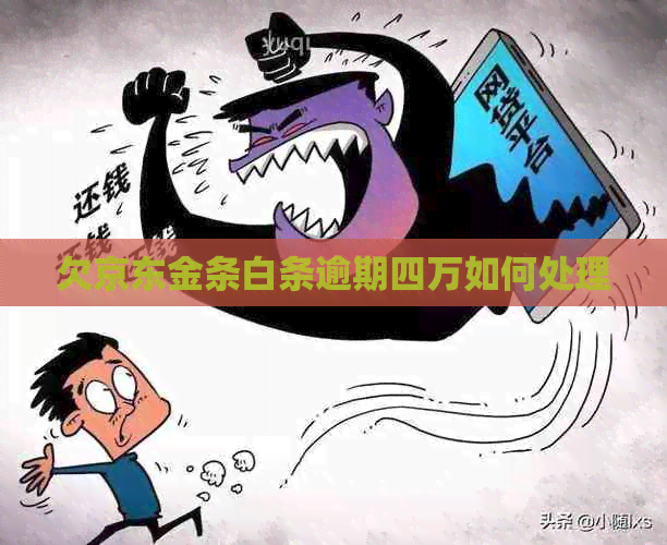 欠京东金条白条逾期四万如何处理