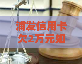 浦发信用卡欠2万元如何还款