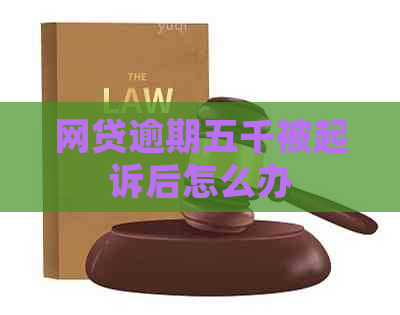 网贷逾期五千被起诉后怎么办