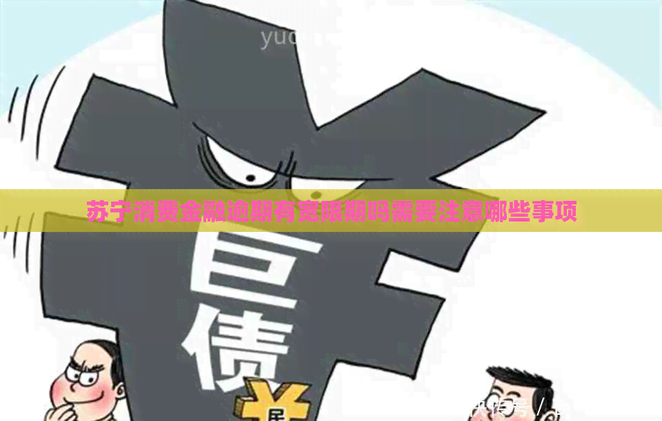 苏宁消费金融逾期有宽限期吗需要注意哪些事项