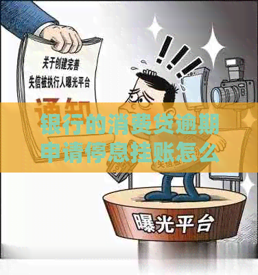 银行的消费贷逾期申请停息挂账怎么办操作步骤