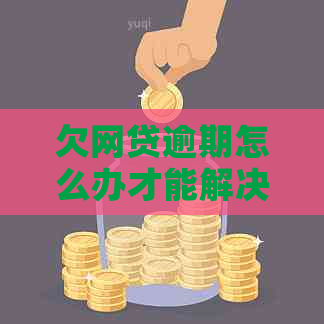 欠网贷逾期怎么办才能解决