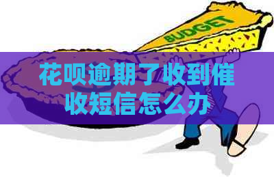 白条逾期了收到短信怎么办