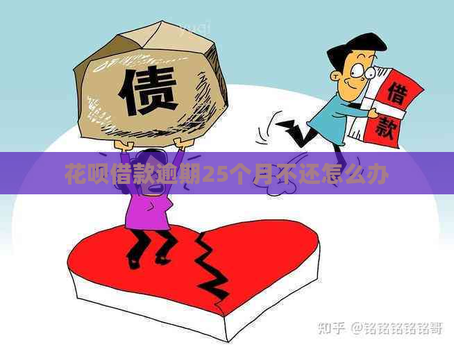 白条借款逾期25个月不还怎么办