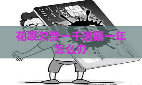 白条欠款一千逾期一年怎么办
