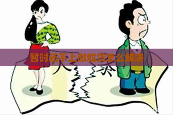 暂时还不上微粒贷怎么解决
