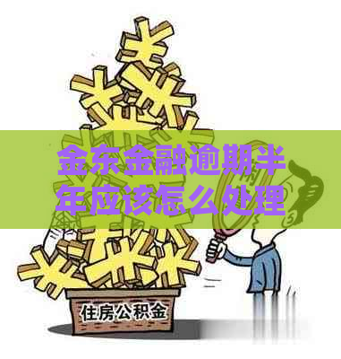 金东金融逾期半年应该怎么处理