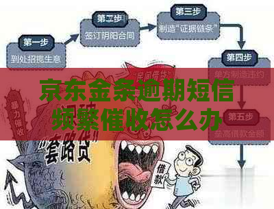 京东金条逾期短信频繁怎么办