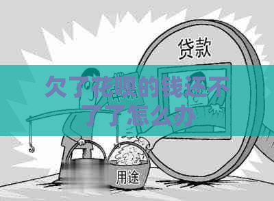 欠了白条的钱还不了了怎么办