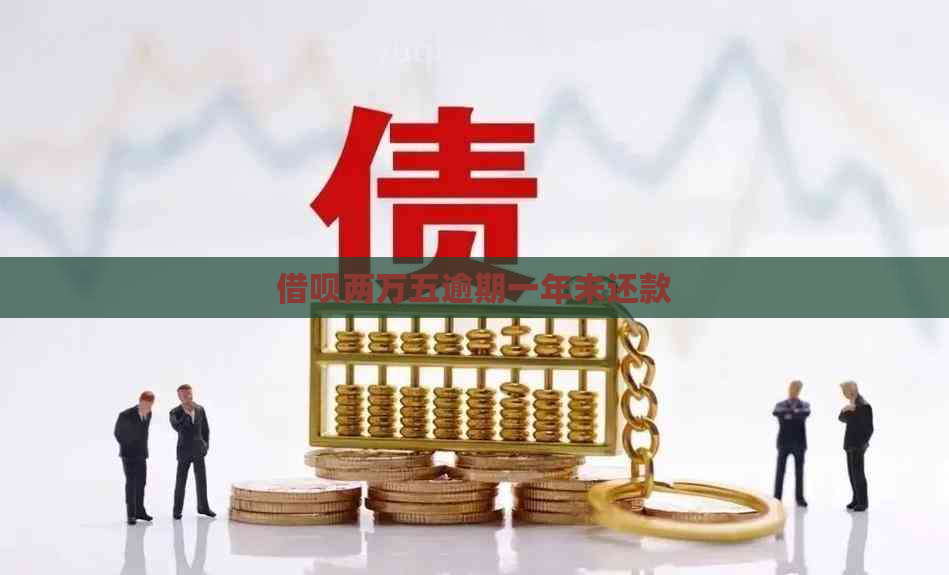 信用卡两万五逾期一年未还款