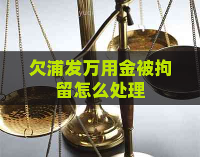 欠浦发万用金被拘留怎么处理