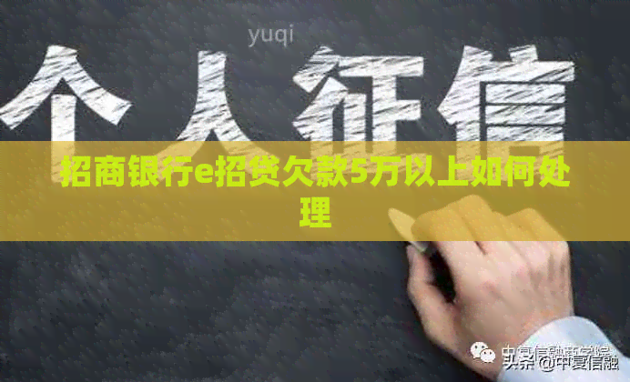 招商银行e招贷欠款5万以上如何处理