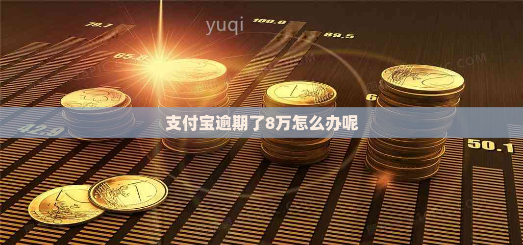 信用卡逾期了8万怎么办呢