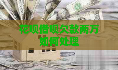 白条信用卡欠款两万如何处理