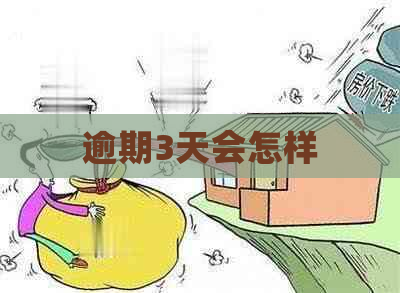 逾期3天会怎样