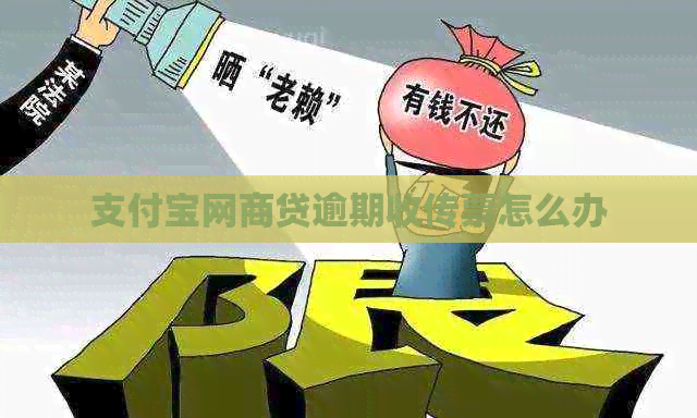 信用卡白条贷逾期收传票怎么办