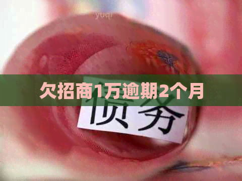 欠招商1万逾期2个月