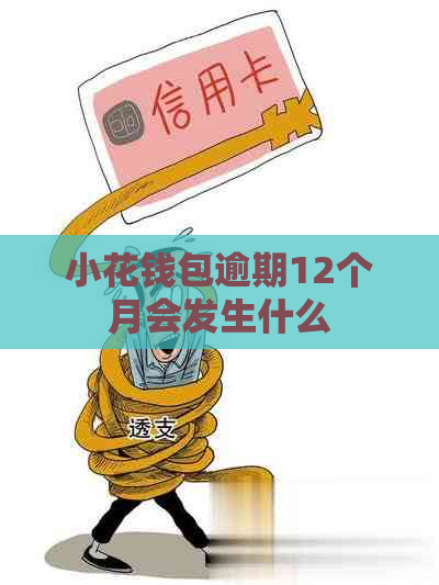 小花钱包逾期12个月会发生什么