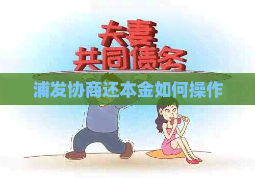 浦发协商还本金如何操作