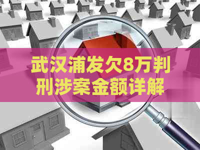 武汉浦发欠8万判刑涉案金额详解
