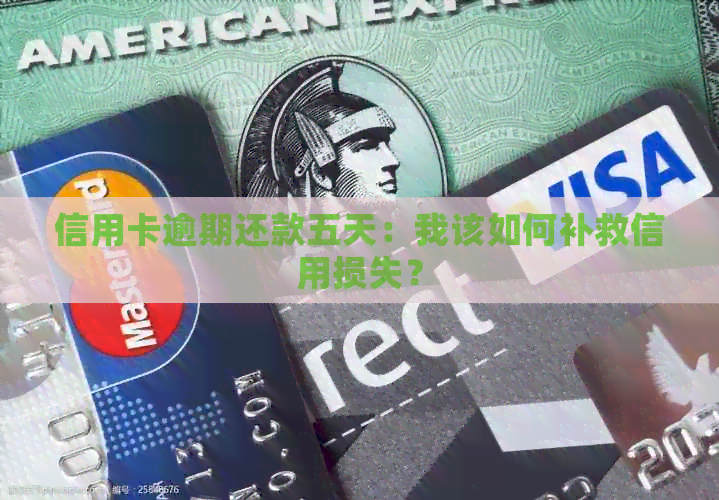 信用卡逾期还款五天：我该如何补救信用损失？