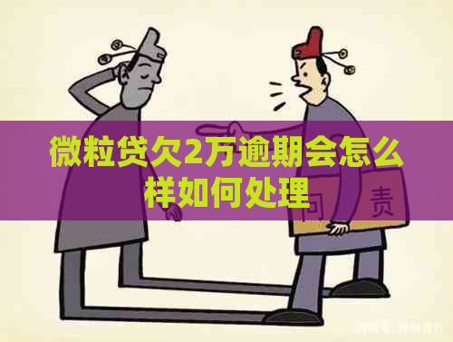微粒贷欠2万逾期会怎么样如何处理