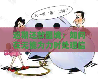 逾期还款困境：如何在无能为力时处理信用卡债务