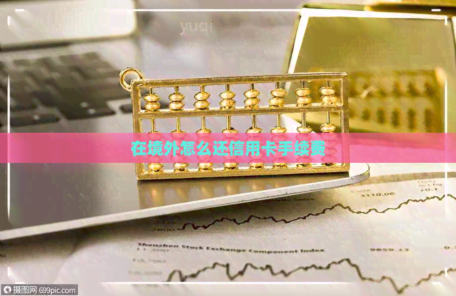 在境外怎么还信用卡手续费