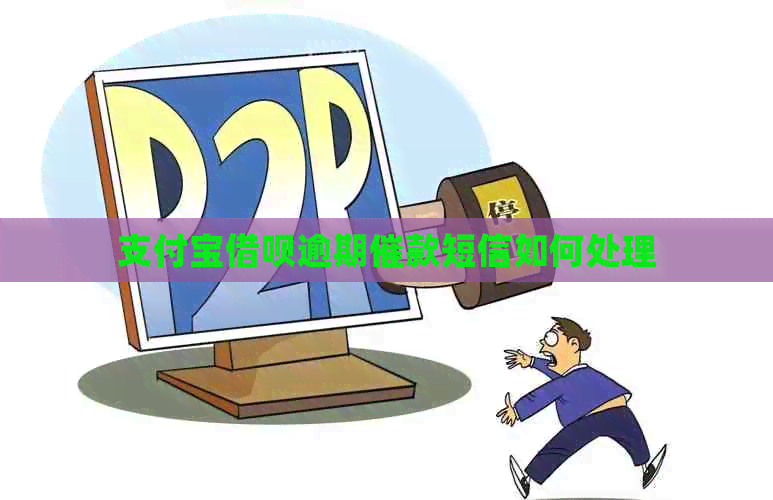 信用卡信用卡逾期催款短信如何处理