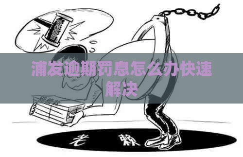 浦发逾期罚息怎么办快速解决