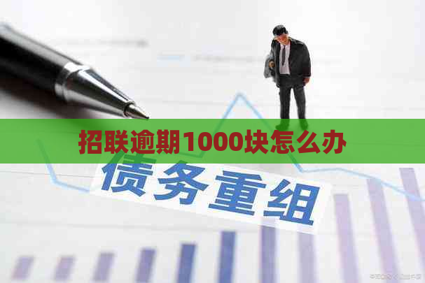 招联逾期1000块怎么办