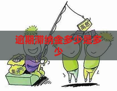 逾期滞纳金多少是多少