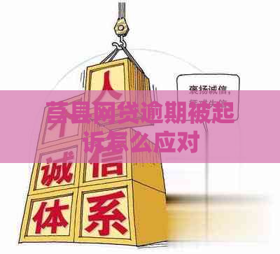 莒县网贷逾期被起诉怎么应对