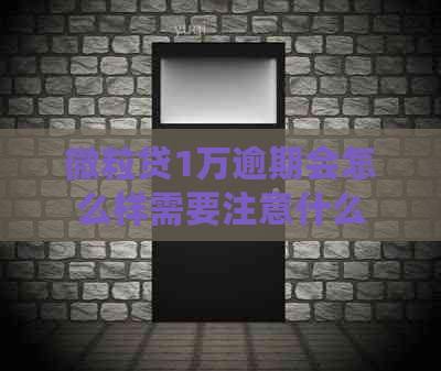 微粒贷1万逾期会怎么样需要注意什么