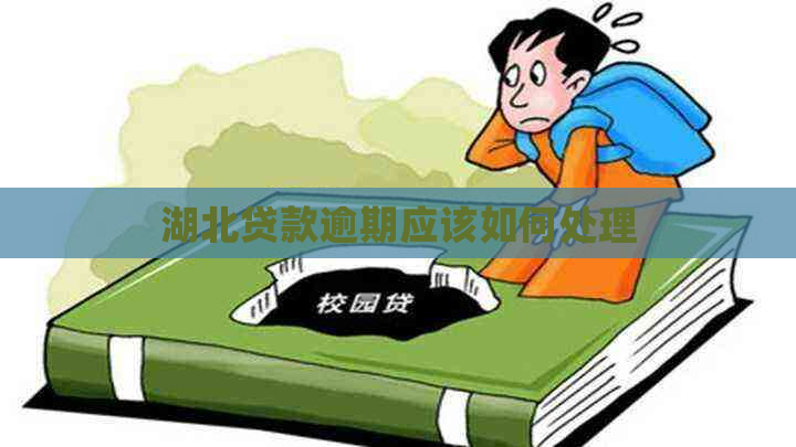 湖北贷款逾期应该如何处理