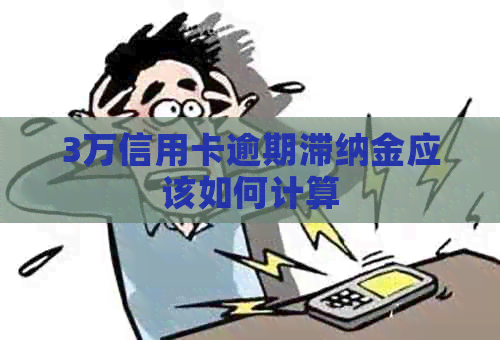 3万信用卡逾期滞纳金应该如何计算