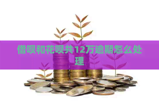信用卡和白条共12万逾期怎么处理