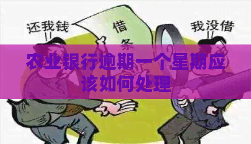 农业银行逾期一个星期应该如何处理