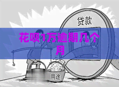 白条1万逾期几个月