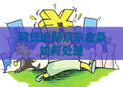网贷逾期京东金条如何处理