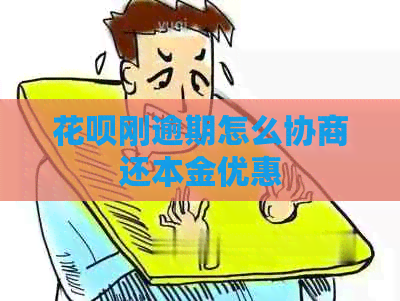 白条刚逾期怎么协商还本金优惠