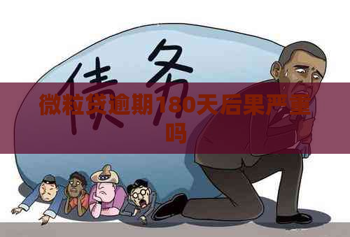 微粒贷逾期180天后果严重吗