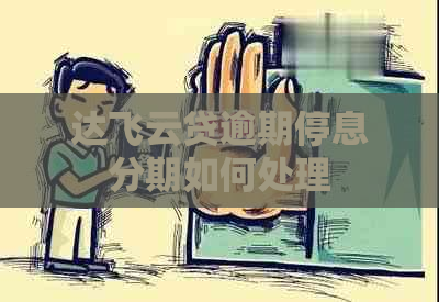达飞云贷逾期停息分期如何处理