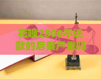 白条2800不还款的后果严重吗