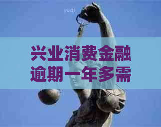 兴业消费金融逾期一年多需要立案吗