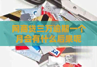 白条贷三万逾期一个月会有什么后果呢