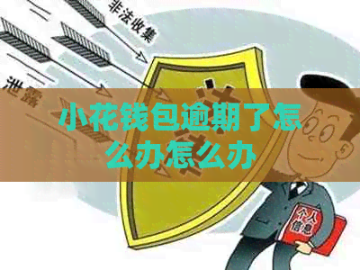 小花钱包逾期了怎么办怎么办
