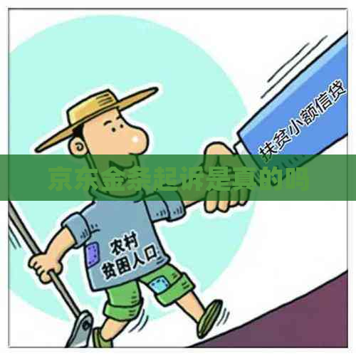 京东金条起诉是真的吗